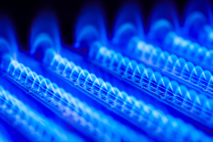 Gas flames in a burner with intense blue light